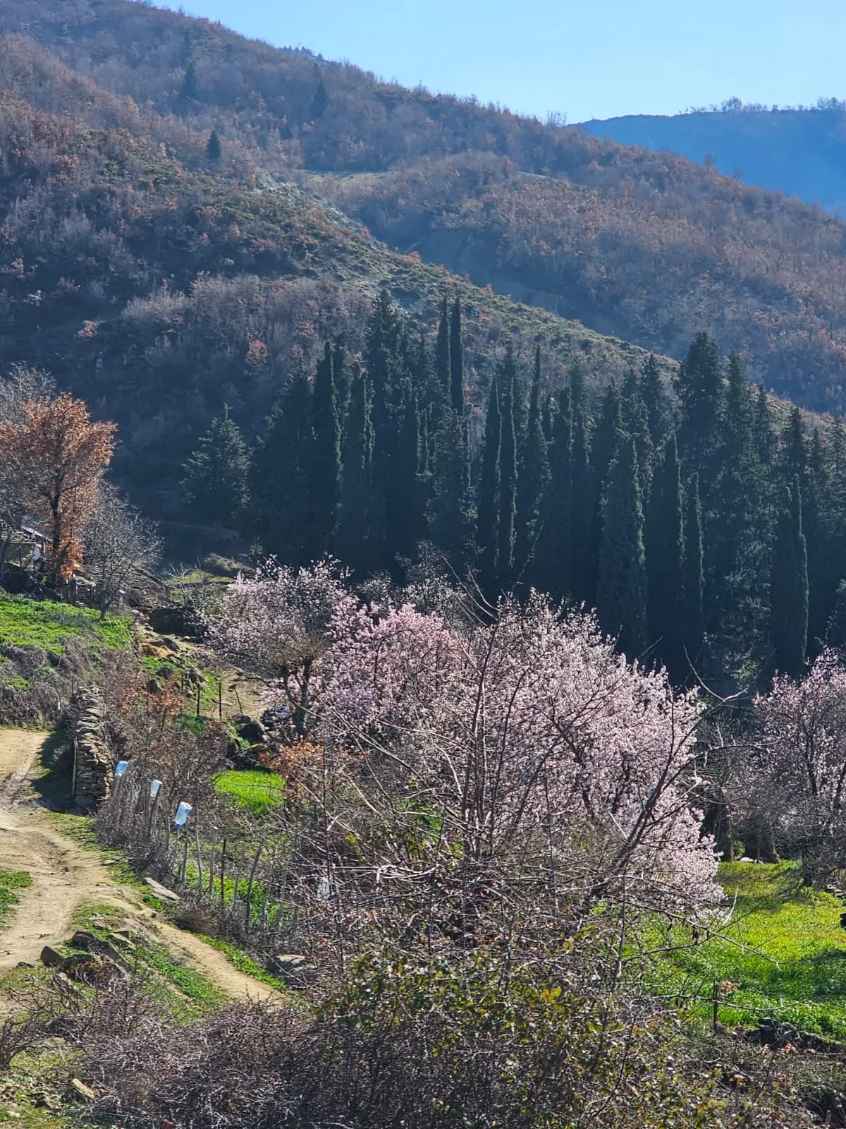 Ultimate Weekend Experience